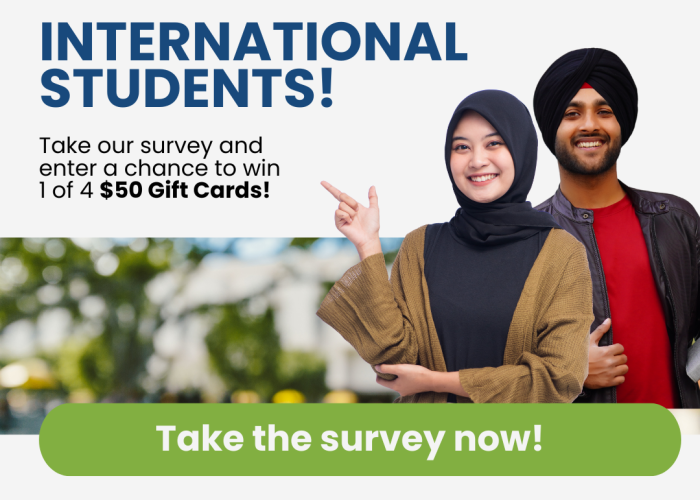 International Student Survey (WELIP)